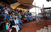 Numerous guests at bull discussion.